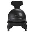 Balance Ball Chair_610-6002RT_0
